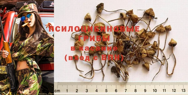apvp Зерноград