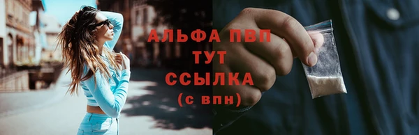 молекула духа Зеленокумск